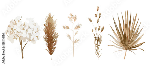 Watercolor dried flowers, beige hydrangea, cream pampas grass, lunaria branches, dry palm leaves, vector illustration, floral bouquet, boho decor, botanical art, elegant nature elements, editable set