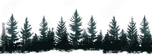 Coniferous spruce panorama, vector forest of Christmas fir trees silhouette, evergreen wood park, pine tree background, winter nature scene, holiday tree landscape, white background