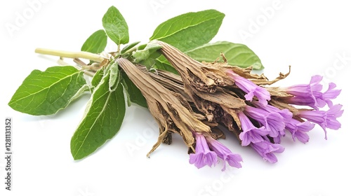 Comfrey herb root placed on a white background, commonly used in alternative medicine for skin ailments and inflammation relief