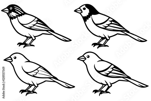 Wallpaper Mural Elegant Finch Line Art Vector Collection Torontodigital.ca