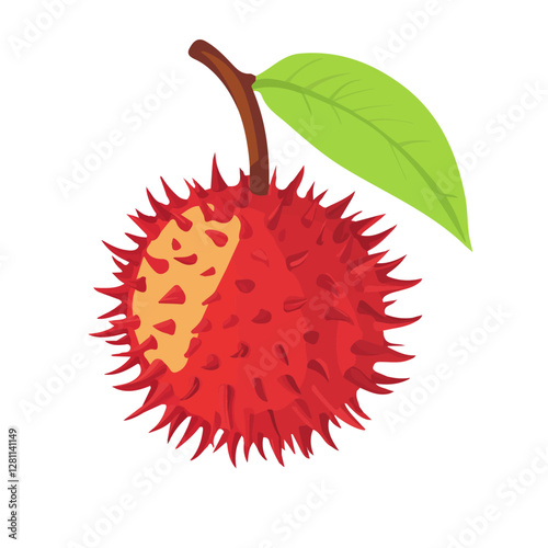 Flat vector rambutan, minimalist design, isolated on a white background.

