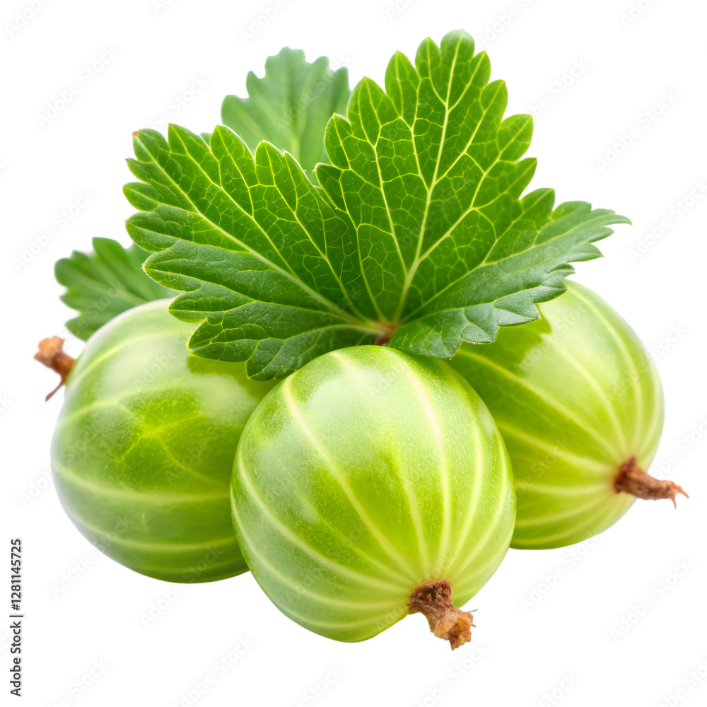 Gooseberry fruit isolated on transparent background Gooseberry fruit isolated on transparent background