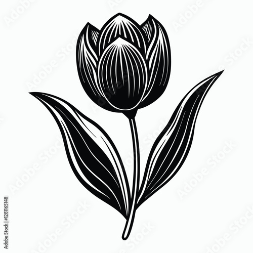 Tulip flower vector illustration with floral design and nature-inspired elements