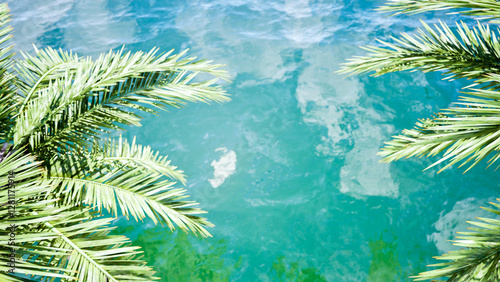 tropical island with palm trees