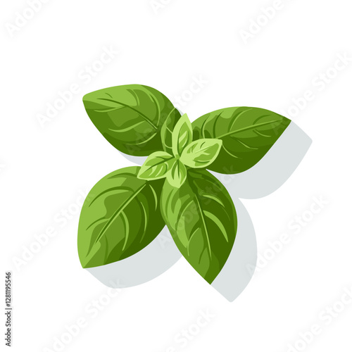 2D flat vector illustration Basil icon isolated on a white background.

