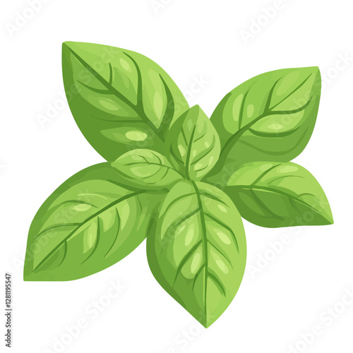 2D flat vector illustration Basil icon isolated on a white background.

