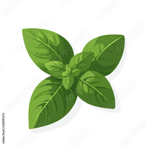 2D flat vector illustration Basil icon isolated on a white background.

