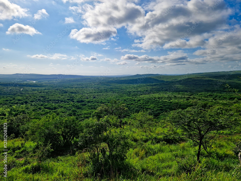 Obraz premium Rolling Green Hills at Hluhluwe-iMfolozi Park, South Africa