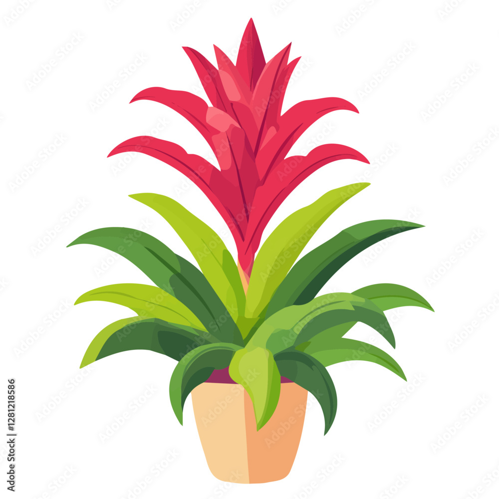 2D flat vector illustration Bromeliad icon isolated on a white background.
2D flat vector illustration Bromeliad icon isolated on a white background.