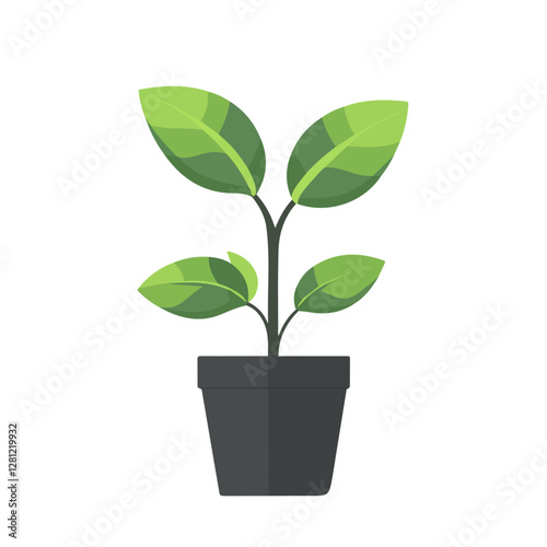 2D flat vector illustration Cast Iron Plant icon isolated on a white background.

