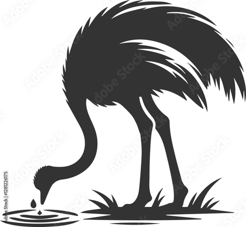 Ostrich lowering its head as if drinking water animal silhouette vector
