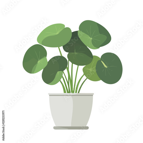 2D flat vector illustration Chinese Money Plant icon isolated on a white background.

