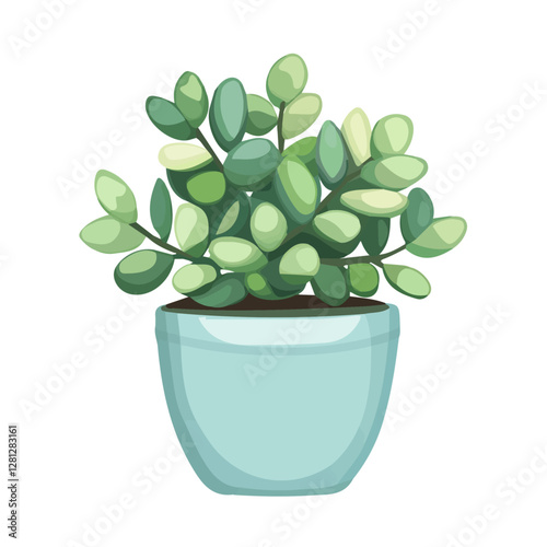 2D flat vector illustration Jade Plant icon isolated on a white background.

