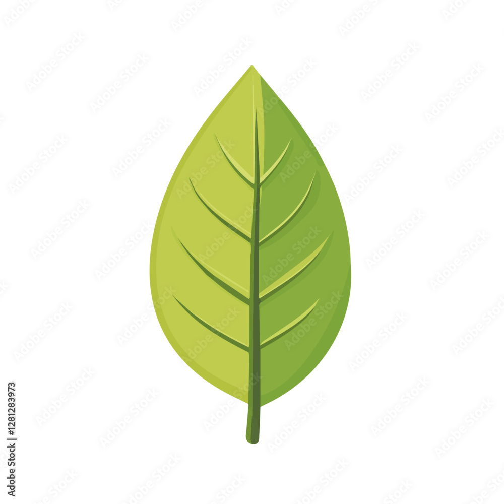 2D flat vector illustration Laceleaf icon isolated on a white background.
2D flat vector illustration Laceleaf icon isolated on a white background.