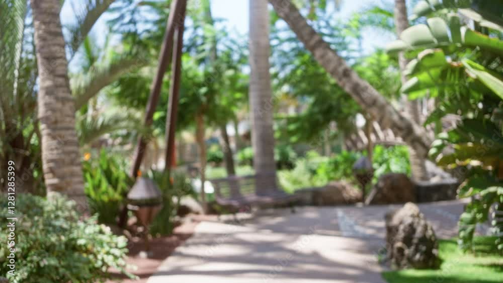 Blurred view of a tropical resort with palm trees, lush plants, pathways, and bokeh background Blurred view of a tropical resort with palm trees, lush plants, pathways, and bokeh background