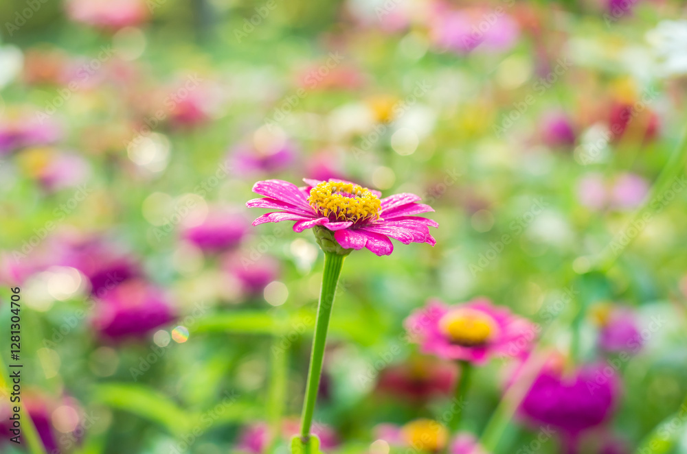 Bright pink flower in a vibrant garden setting