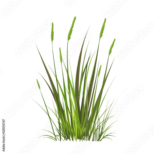 2D flat vector illustration Marsh Grass icon isolated on a white background.

