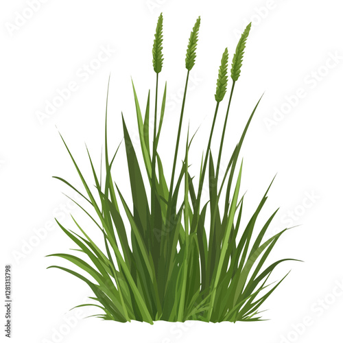 2D flat vector illustration Marsh Grass icon isolated on a white background.

