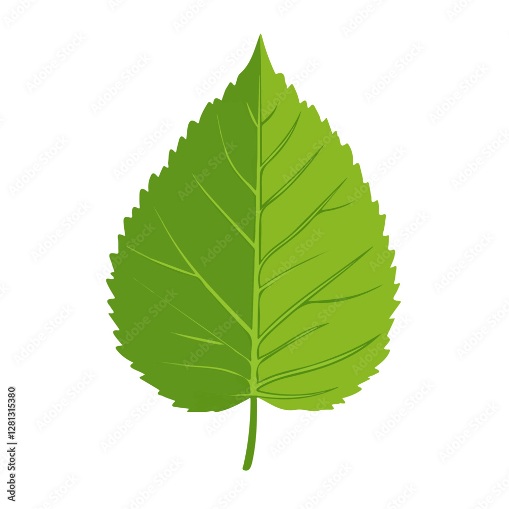 2D flat vector illustration Mulberry Tree Branches icon isolated on a white background.
2D flat vector illustration Mulberry Tree Branches icon isolated on a white background.