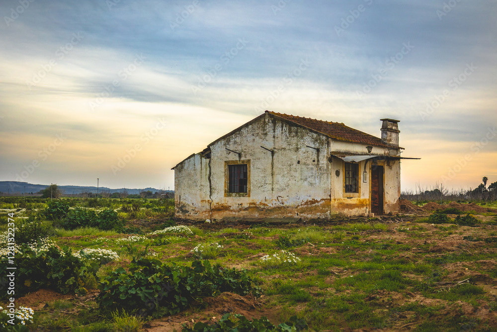Old farm house on the prairies of Ribatejo - Portugal Old farm house on the prairies of Ribatejo - Portugal