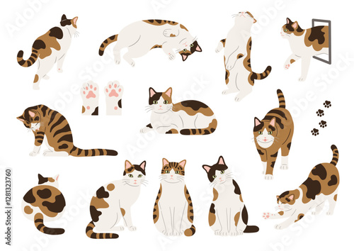 Foto 三毛猫の手描きイラストセット