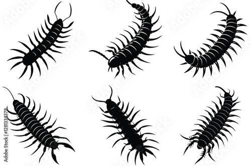 Centipede silhouette set, Centipede running vector flat icon