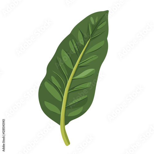 2D flat vector illustration Plantain Leaf icon isolated on a white background.

