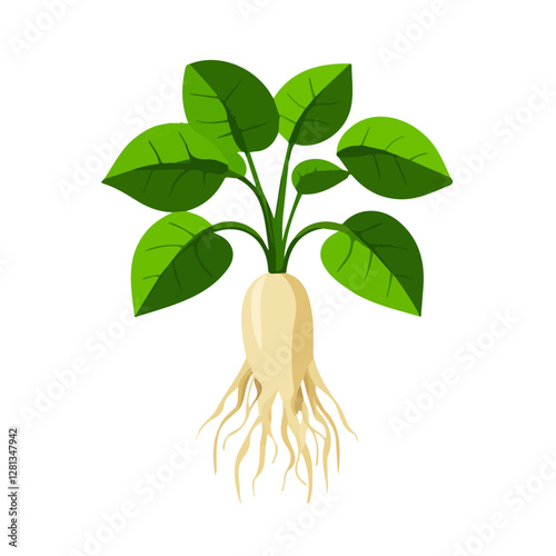 2D flat vector illustration Siberian Ginseng icon isolated on a white background.

