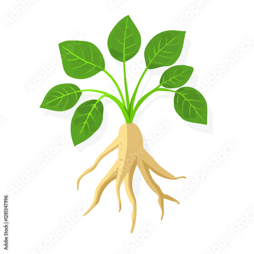 2D flat vector illustration Siberian Ginseng icon isolated on a white background.

