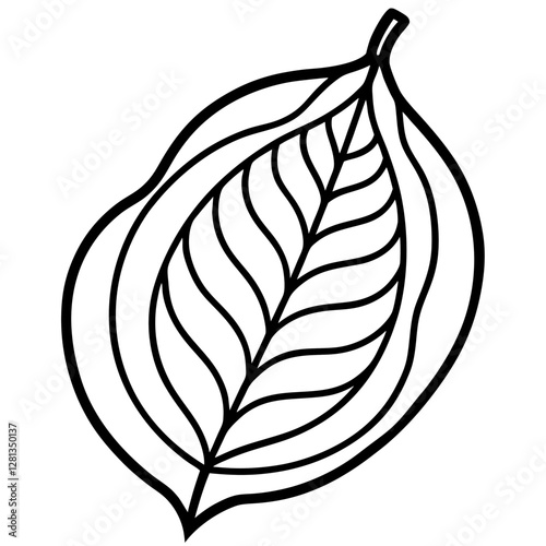 Guava leaf brown curled details, white background