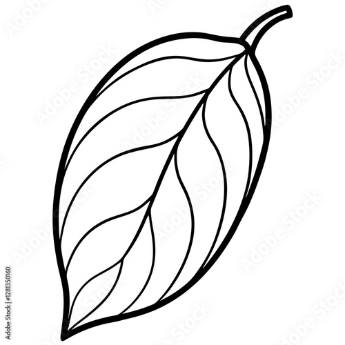 Mango leaf dried smooth curved, white background