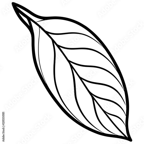 Mango leaf dried smooth curved, white background