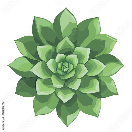 2D flat vector illustration Succulent Rosette icon isolated on a white background.

