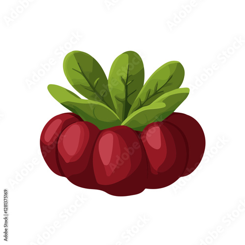 2D flat vector illustration Water Chestnut icon isolated on a white background.

