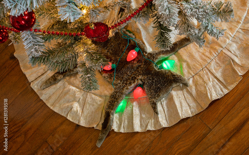 Obraz na płótnie Fake cat furr that looks like it fried in Christmas lights w salonie