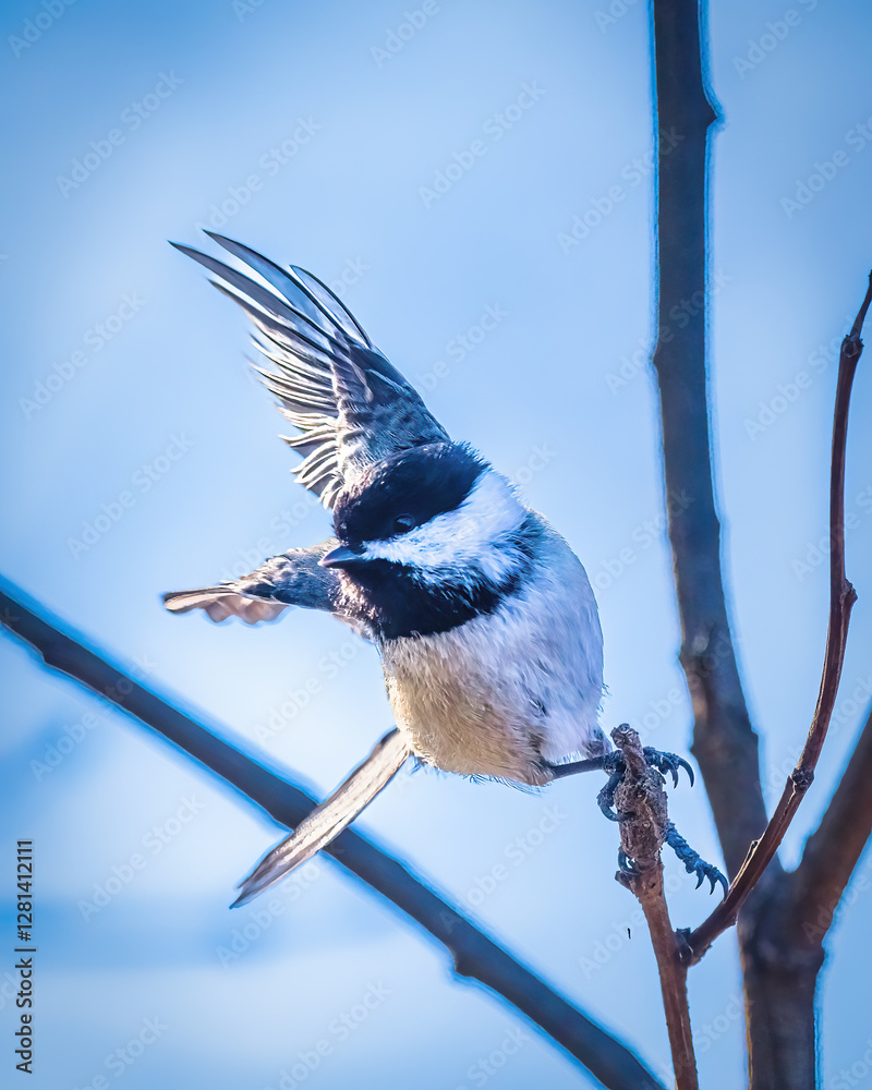 A small bird, resembling a chickadee, perches on a thin branch with wings slightly spread. The background is a soft, light blue, creating a serene and airy atmosphere..