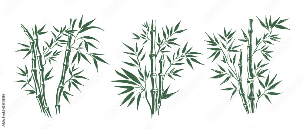 Bamboo tree, Hand drawn style. Bamboo tree, Hand drawn style.