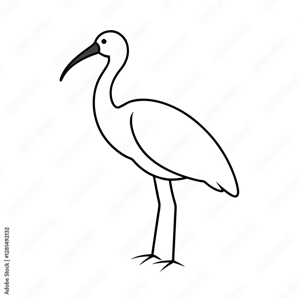 Fototapeta premium Black Headed Ibis Line Art Vector for Web and Print