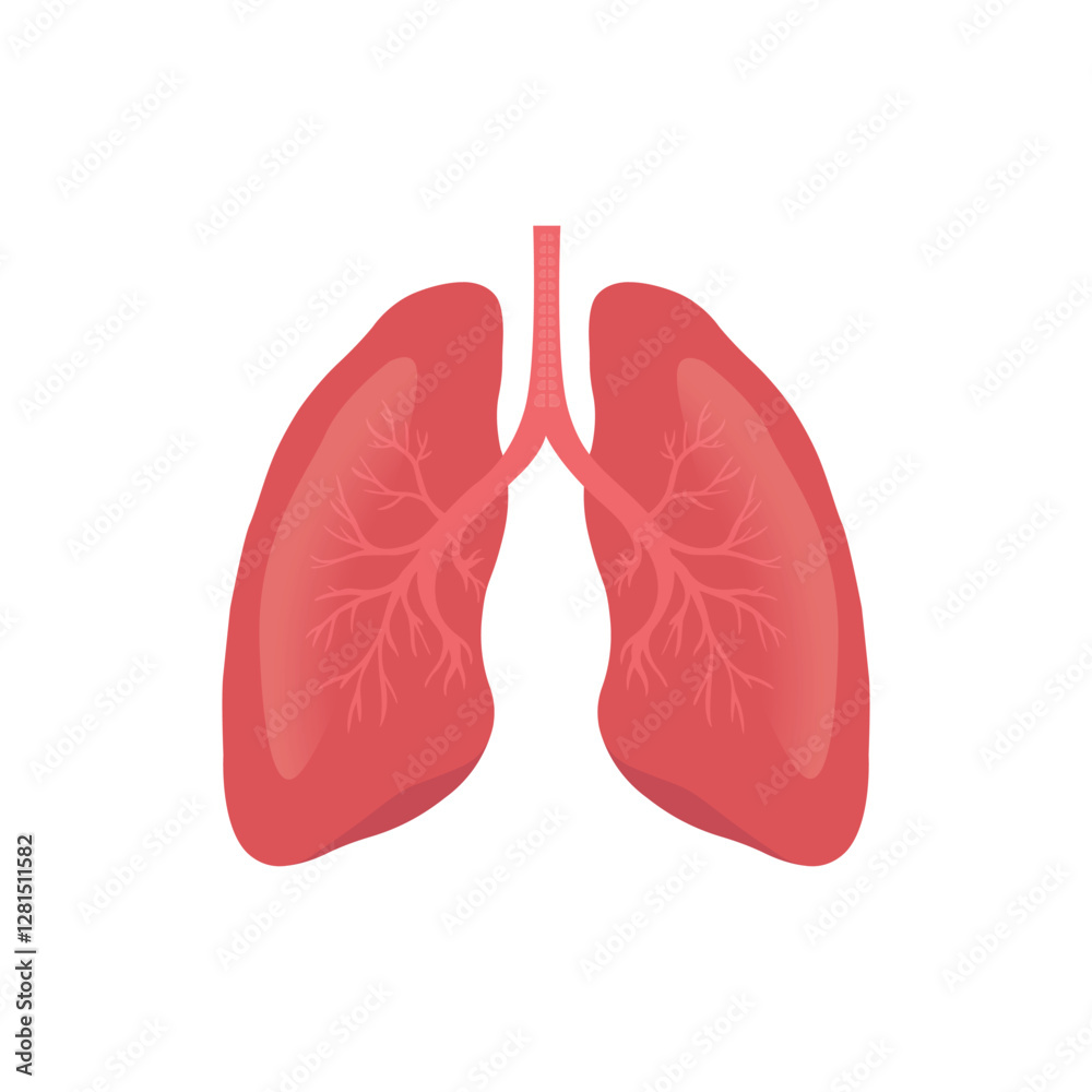 Human lungs icons vector illustration Human lungs icons vector illustration