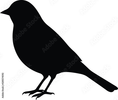 Bird silhouette vector on white background