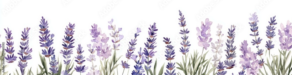 Naklejka premium Beautiful Watercolor Lavender Border Design