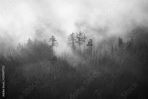 Wallpaper Mural sunbeams and fog on the mountains in black white Torontodigital.ca