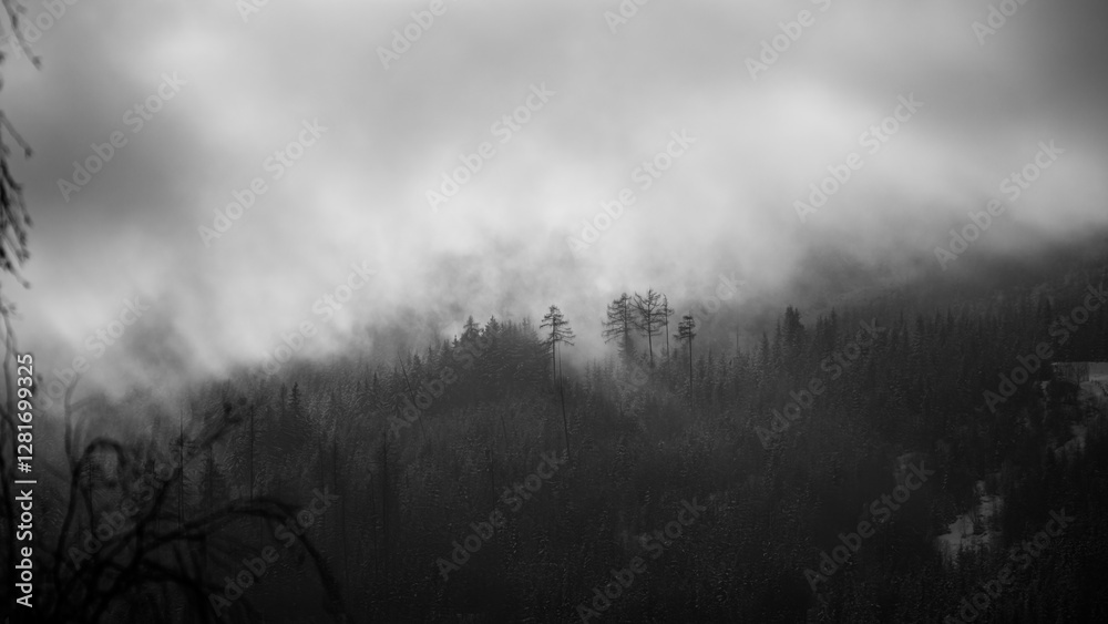 custom made wallpaper toronto digitalsunbeams and fog on the mountains in black white