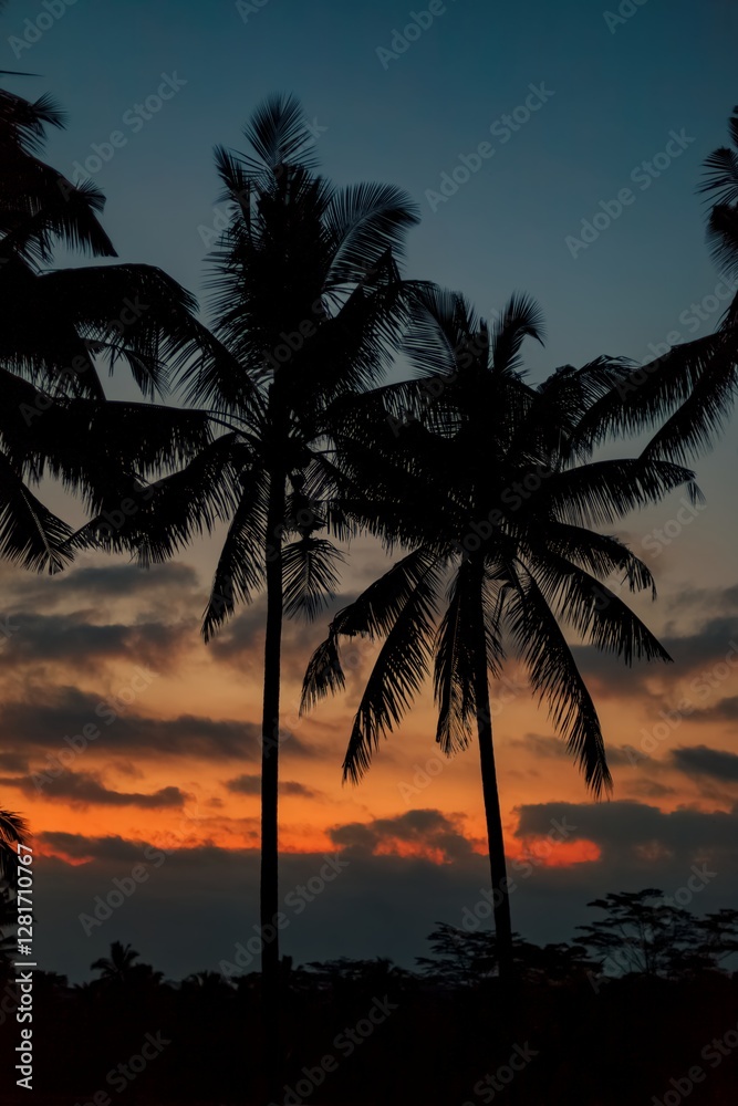 Silhouette of palm trees against a vibrant sunset sky, capturing tropical serenity and evening beauty. Silhouette of palm trees against a vibrant sunset sky, capturing tropical serenity and evening beauty.