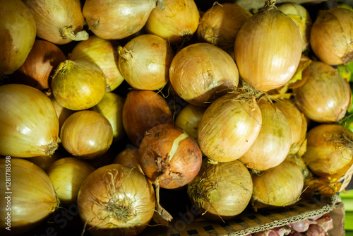 Fresh onions (bawang bombay) neatly displayed, showcasing their round shape, smooth golden skin, and firm texture, commonly used in various culinary dishes