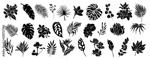 Set of black silhouettes of tropical leaves, flowers. Hand drawn elegant exotic eucalyptus, monstera leaves, lotus, birth of paradise, magnolia, hibiscus flowers. Trendy botanical vector. 