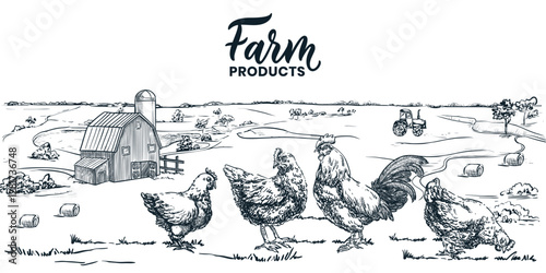Chicken poultry farm hand drawn sketch vector illustration. Hen rooster on meadow or field. Farming landscape background