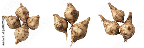 Set of Close-up of maca roots with a rough, textured surface, placed on a dark, moody background with soft on transparent png background. Ai generated