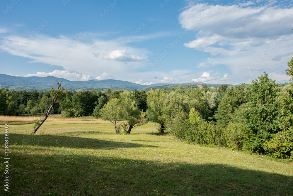 Obraz premium golf course in the morning