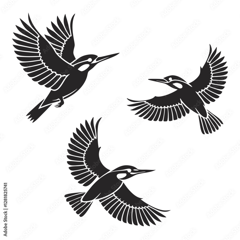 Obraz premium set of birds